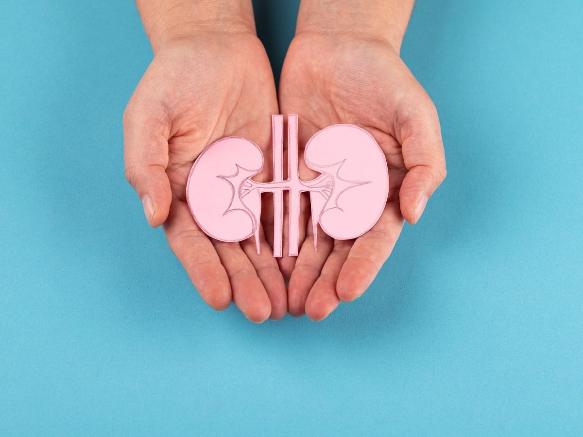 <div class="paragraphs"><p>Tips on how to keep kidneys healthy</p></div>