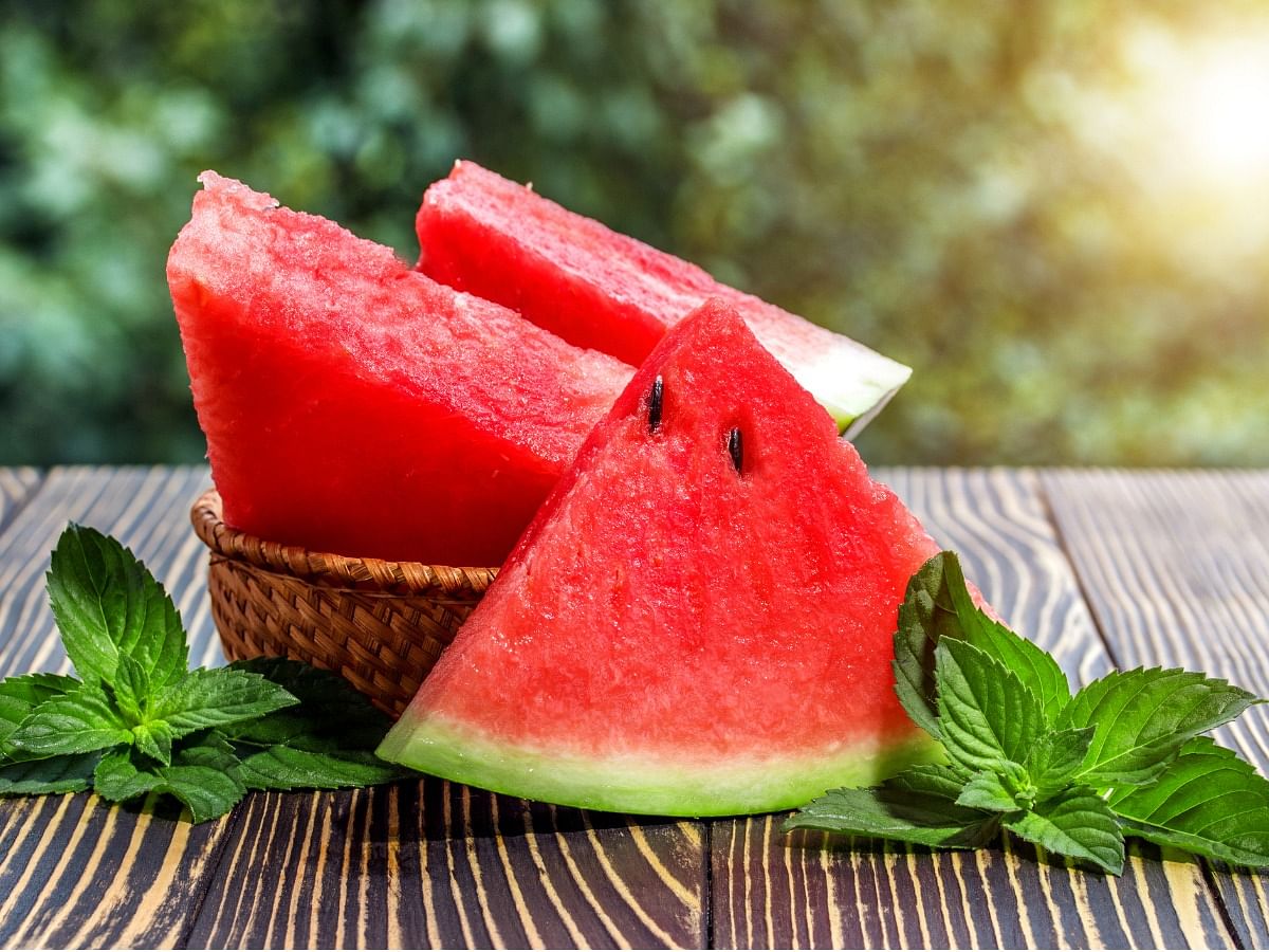 <div class="paragraphs"><p>benefits of watermelon</p></div>