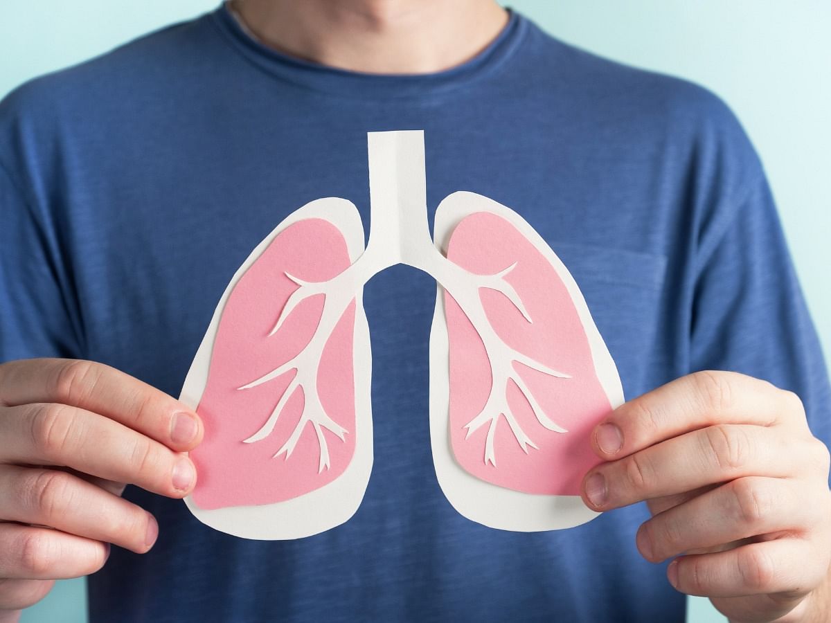 <div class="paragraphs"><p>tips to keep lungs healthy</p></div>