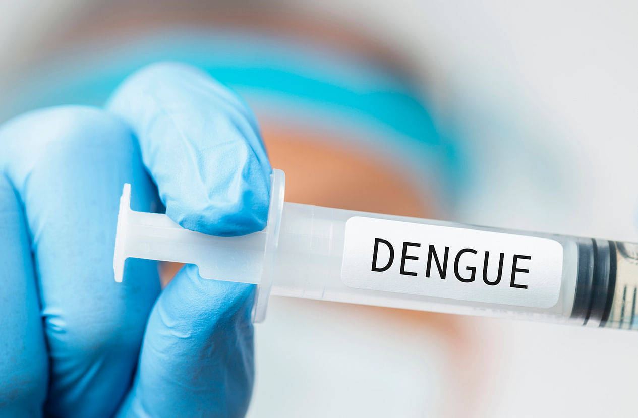 <div class="paragraphs"><p>Tips to Prevent Dengue During Monsoon.</p></div>