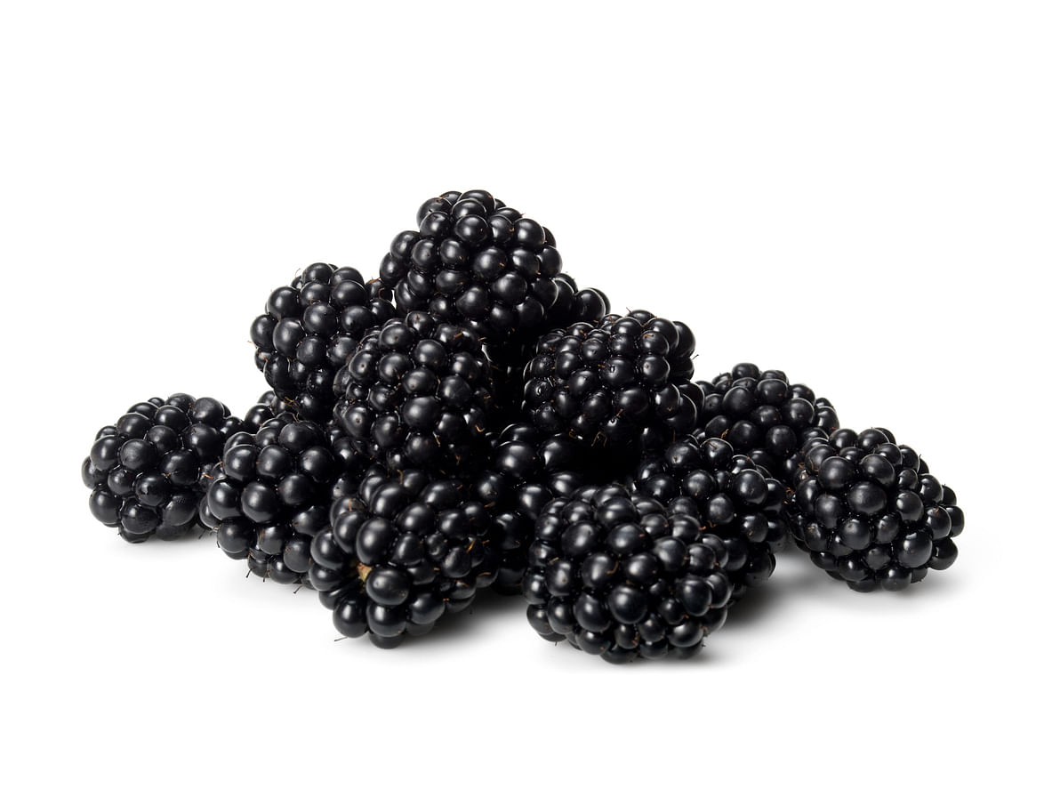 <div class="paragraphs"><p>Health Benefits of Blackberries.</p></div>