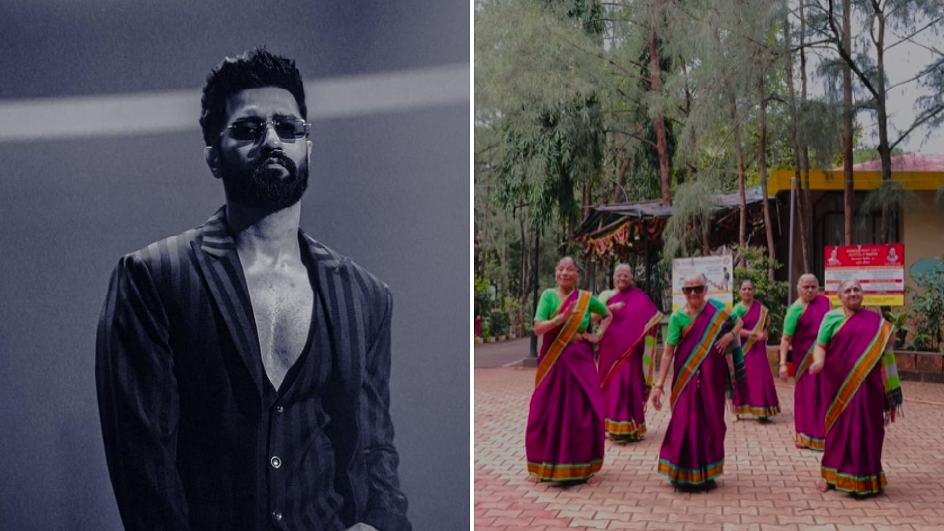 <div class="paragraphs"><p>Old Age Home Women Groove to Vicky Kaushal's 'Tauba Tauba'; Actor Reacts</p></div>