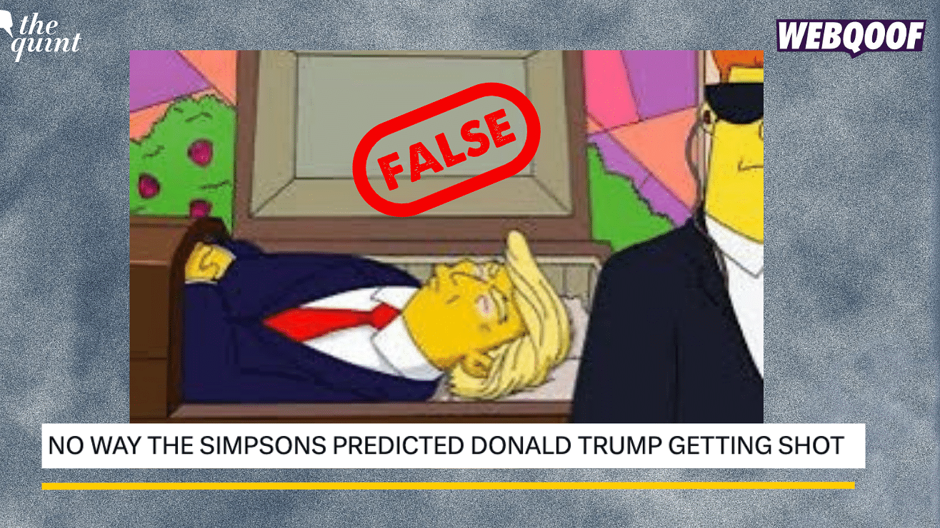 <div class="paragraphs"><p>Fact-Check: This frame has not appeared on the show.&nbsp;</p></div>