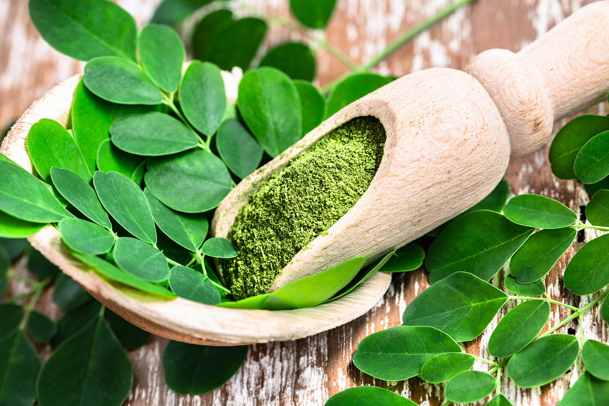 <div class="paragraphs"><p>Health Benefits of Moringa.</p></div>