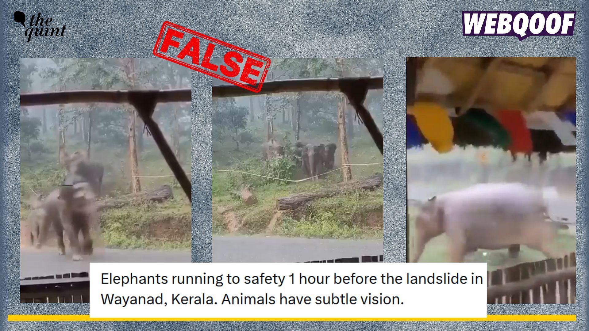 <div class="paragraphs"><p>Fact-check: An old video of a herd of elephants walking away from the forest is being falsely linked to the Wayanad landslides. </p></div>