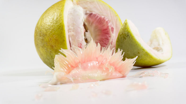 <div class="paragraphs"><p>Health Benefits of Pomelo</p></div>