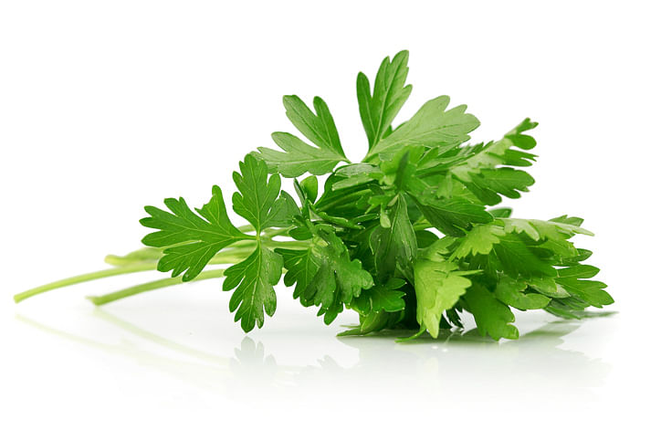 <div class="paragraphs"><p>Health Benefits of Parsley.</p></div>