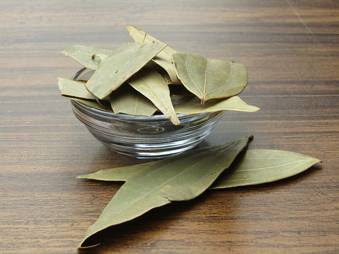 <div class="paragraphs"><p>Health Benefits of Bay Leaf.</p></div>