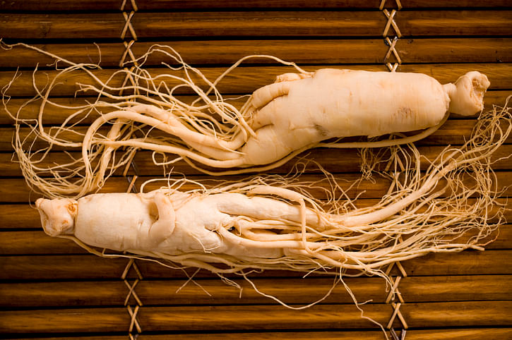 <div class="paragraphs"><p>Health Benefits of Ginseng.</p></div>