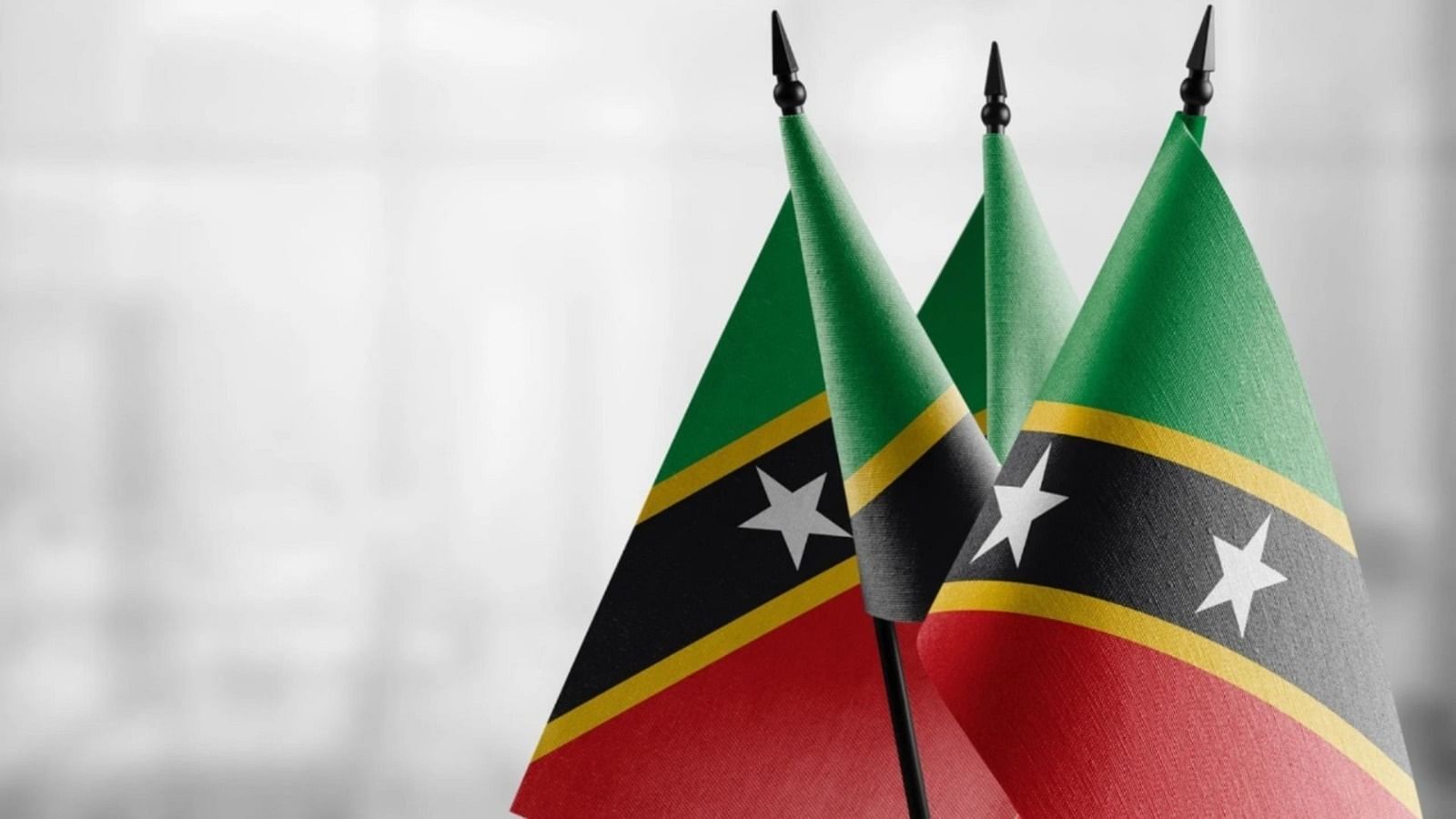 <div class="paragraphs"><p>St. Kitts and Nevis leads with 10-week decision on CBI applications</p></div>