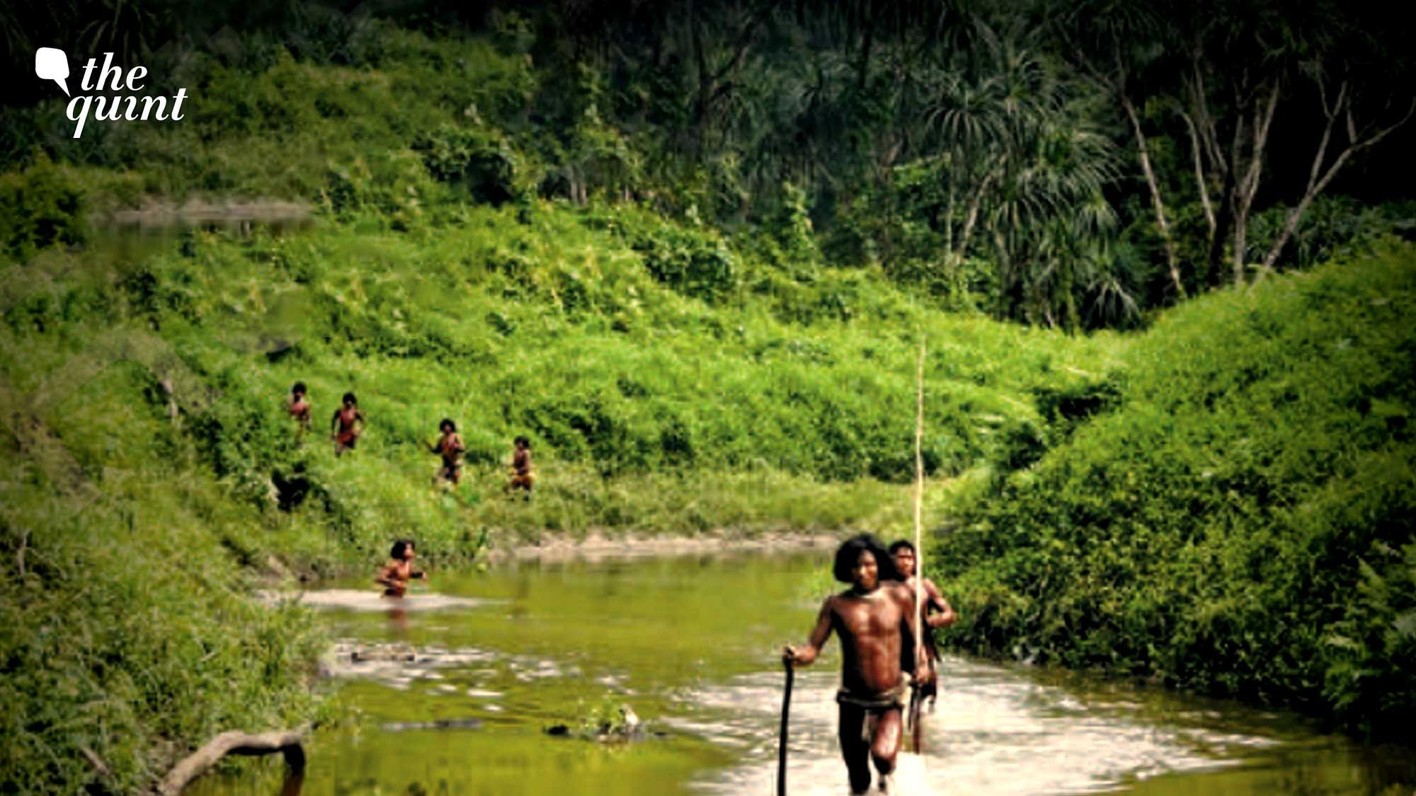 <div class="paragraphs"><p>The Great Nicobar Island boasts a dense Cretaceous era rain forest with endangered tribes of humans in small, scattered settlements. In this photo, people belonging to Shompen tribe, one of the two isolated indigenous communities of Great Nicobar Island, are seen crossing a river.</p></div>