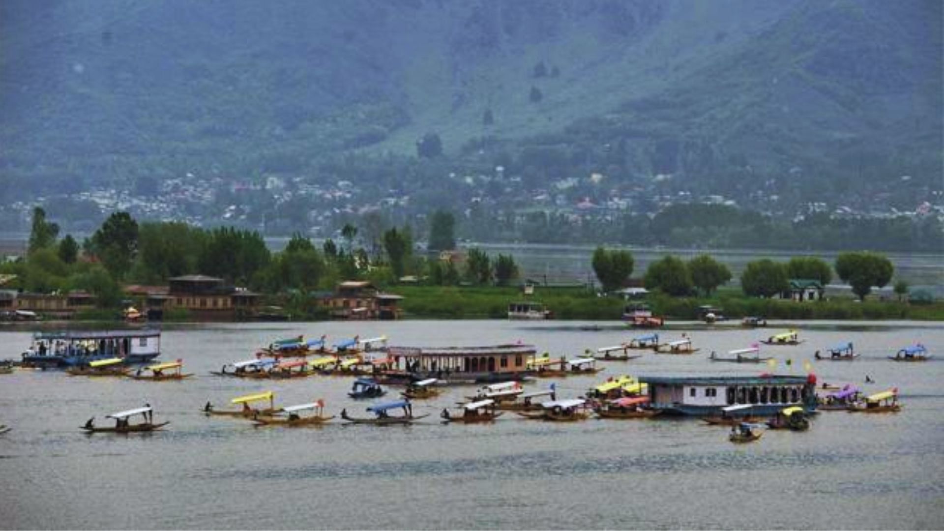 <div class="paragraphs"><p>Image used for representation only. Boatmen row their boats during a shikara festival at Dal Lake in Srinagar organised by the Jammu and Kashmir government to promote tourism.</p></div>