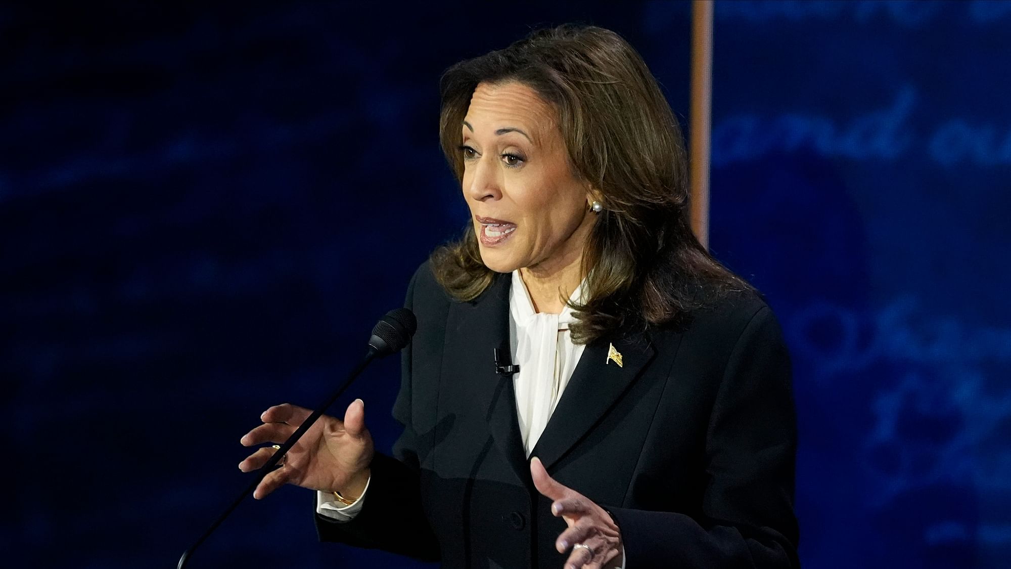 <div class="paragraphs"><p>Kamala Harris during the debate.&nbsp;</p></div>