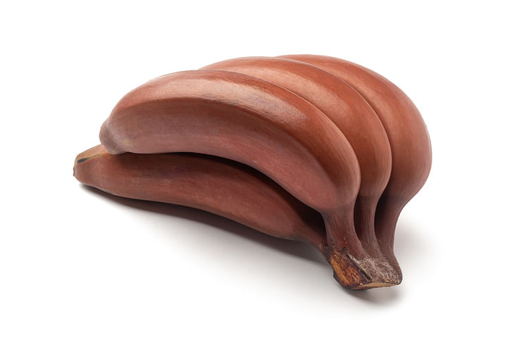 <div class="paragraphs"><p>Health Benefits of Red Bananas.</p></div>