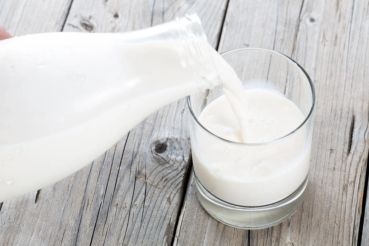 In a country that largely eats a vegetable-based diet, milk is the main source of calcium. 