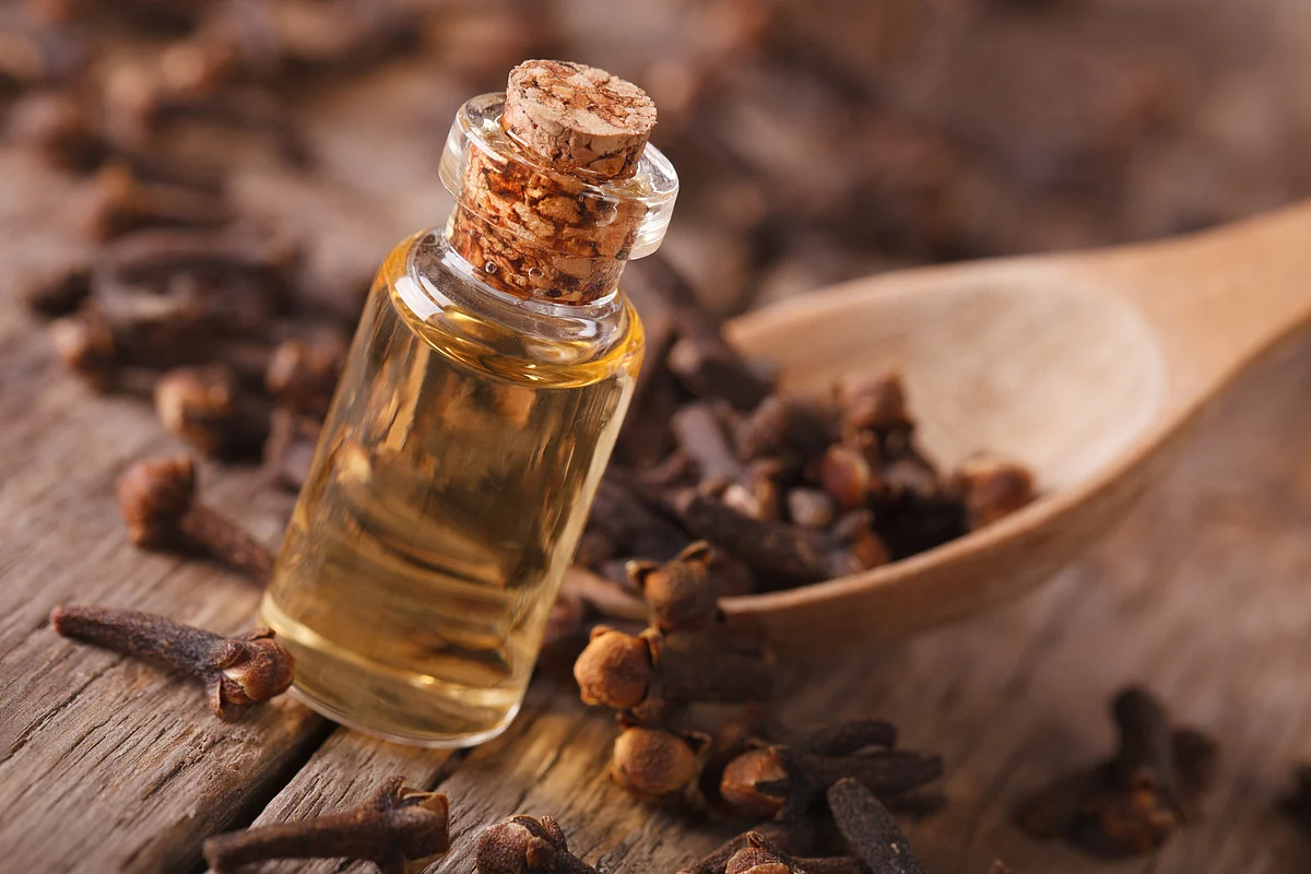5 Best Essential Oils To Boost Your Immunity This Season