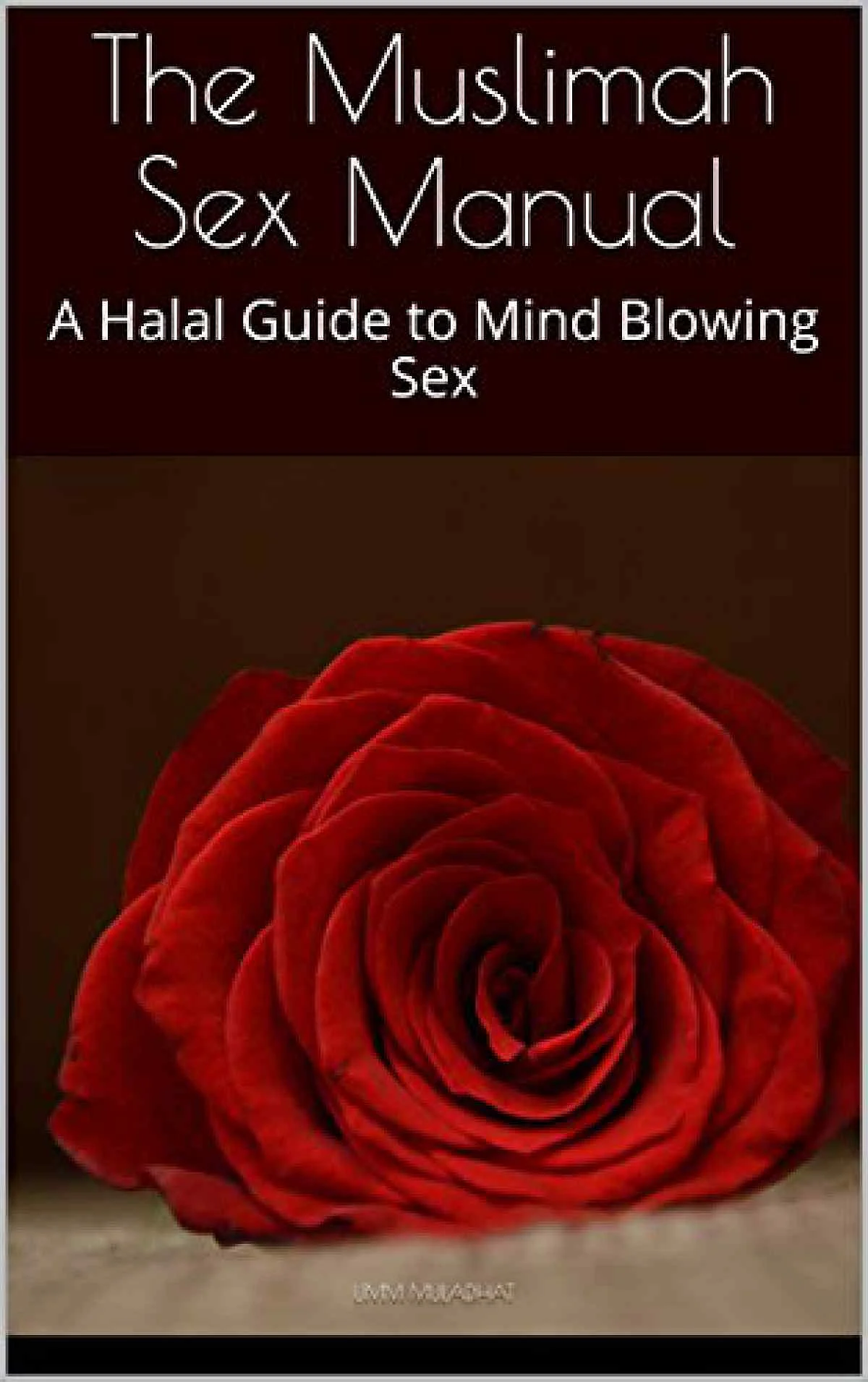 Cover of the 66-page manual on ‘halal’ sex.