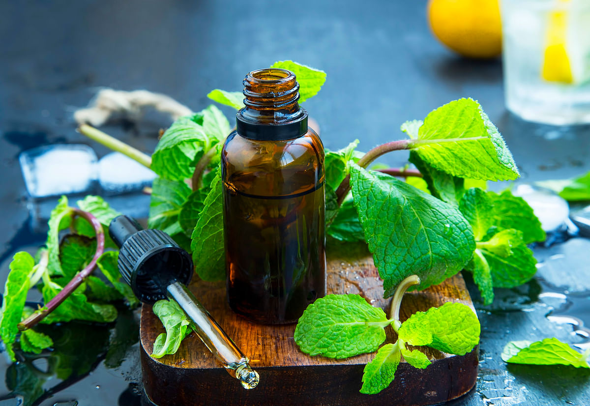 The essential oil of peppermint is known to be an excellent decongestant.