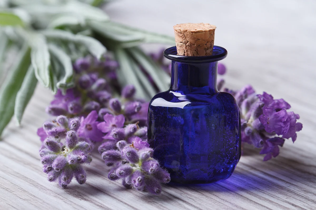 5 Best Essential Oils To Boost Your Immunity This Season