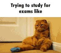 Are Boards Making You Anxious? Here’s How You Can Beat Exam Stress