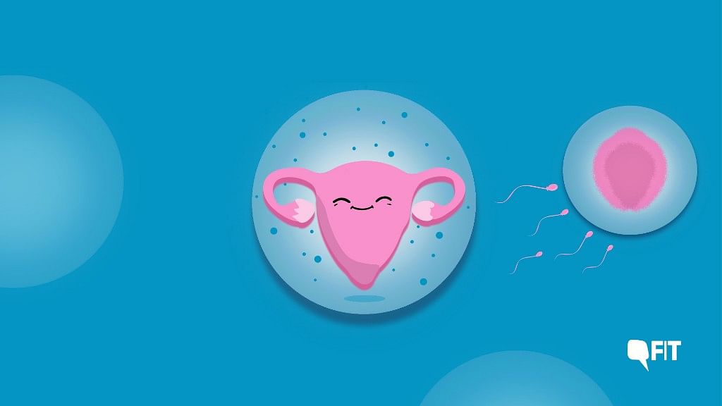 Let’s Talk Ovulation, Your ‘Fertility Window’ and Making Babies