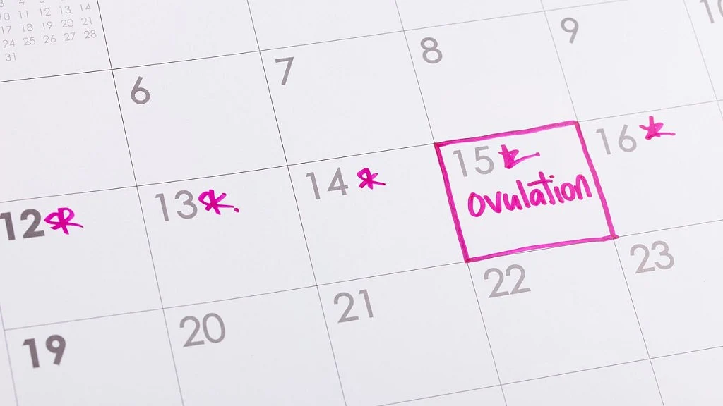 Ovulation starts within weeks of stopping the pill.