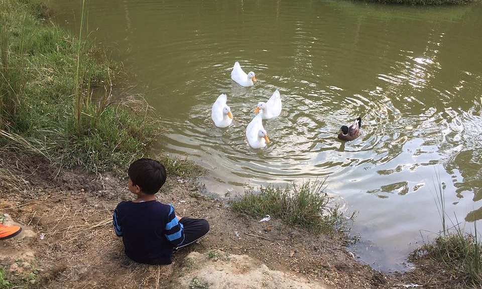 The medicine that worked for my son, played havoc in another child’s case who is the same age has him, weighs as much as him, and has similar traits and challenges.