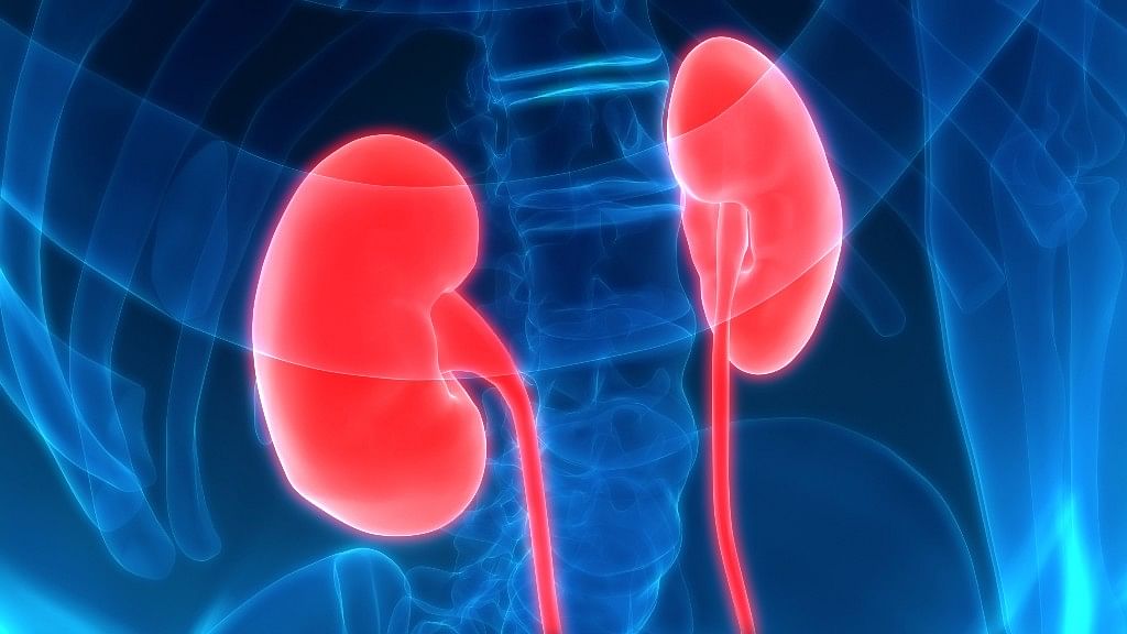  Women had 31 per cent lower risk of death from chronic kidney disease than  men.