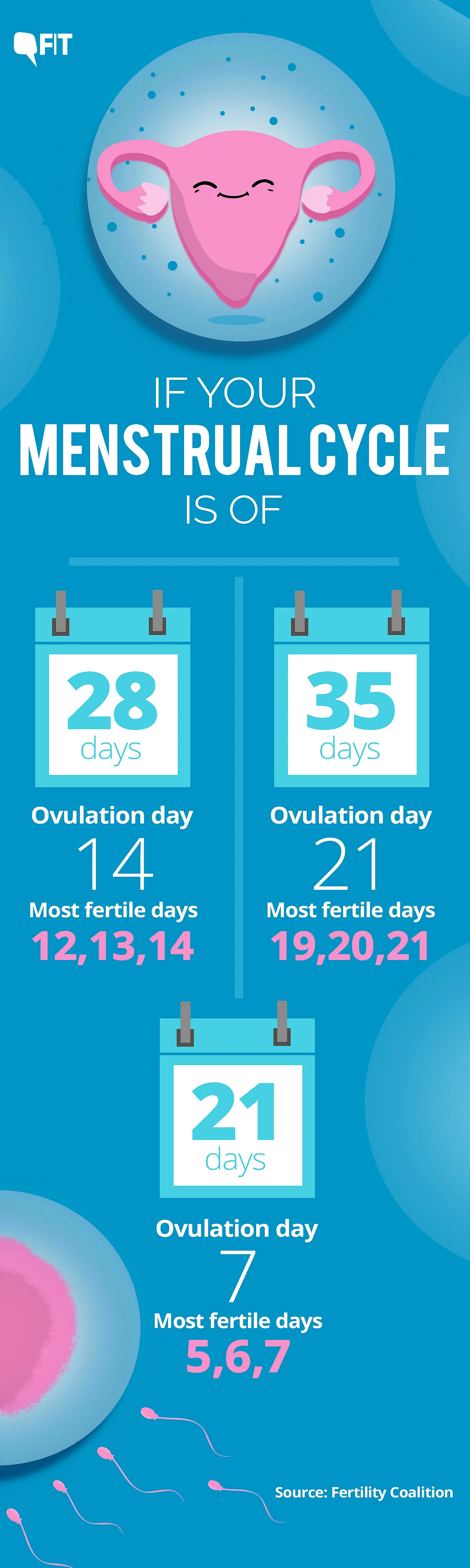 The chances of pregnancy increases by 27-33 percent in the three days leading to ovulation and decline rapidly immediately after.