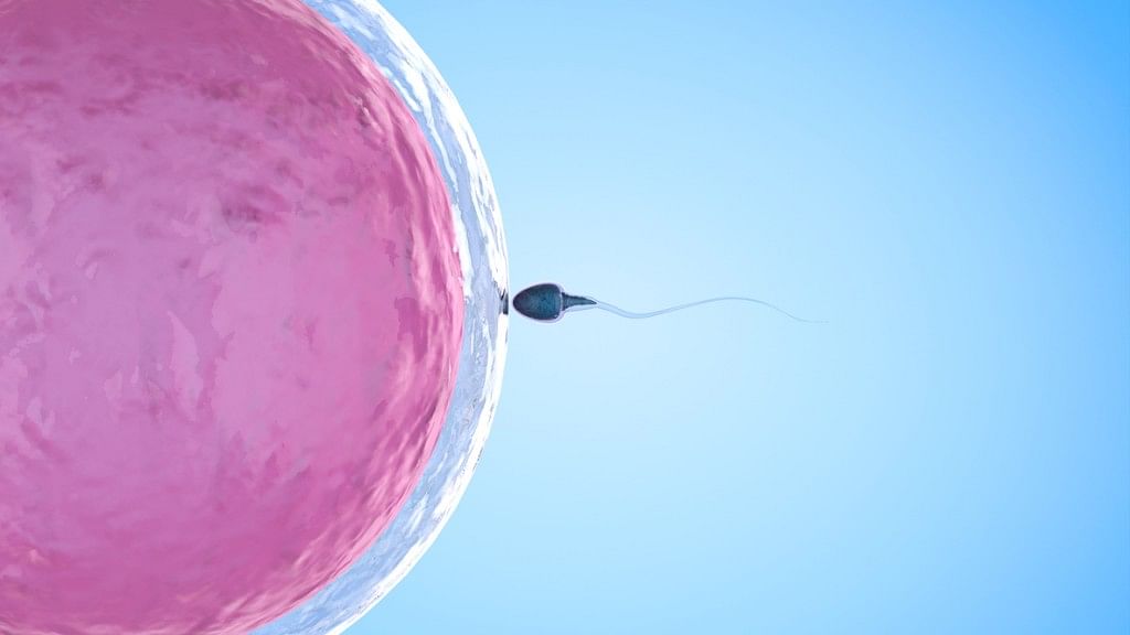 ‘Secret Handshake’ Discovered Between Sperm and Uterus Cells 