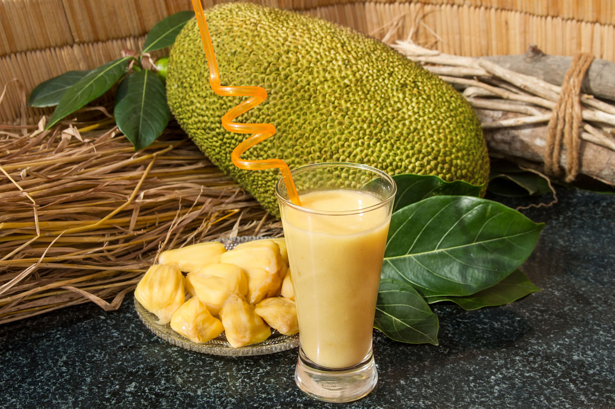 Jackfruit is a natural weight loss aiding food, if had the right way.