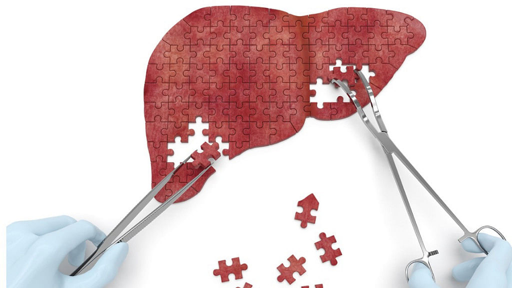 Even 75% of the liver can be removed without any major damage. 