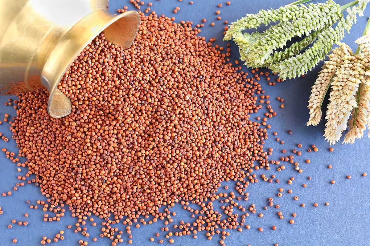 Millets are non-glutinous and non-acid-forming foods which makes it easy to digest when eaten in the right quantity.