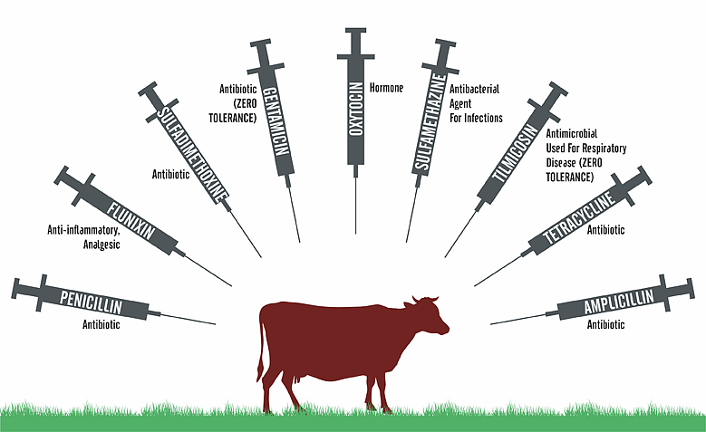 Is Milk Good Or Bad for Your Health? Find Out