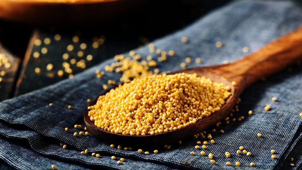 Millets are “tiny grains” that are not just packed with minerals and vitamins, but are also gluten-free.