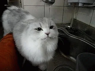 It’s important to keep yourself hydrated.