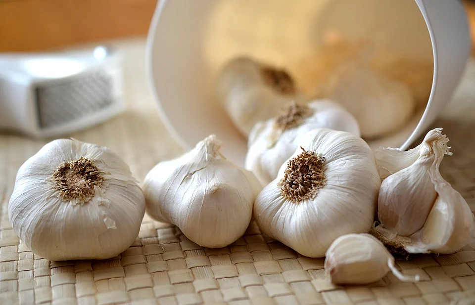 Garlic for fat loss. <br>