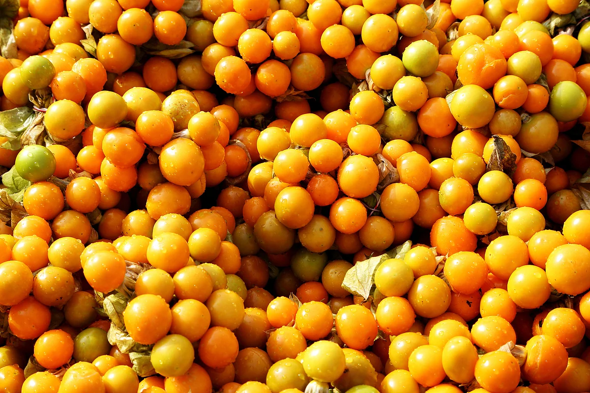 The tarty rasbhari is one of the most potent forms of vitamin C that you can eat.