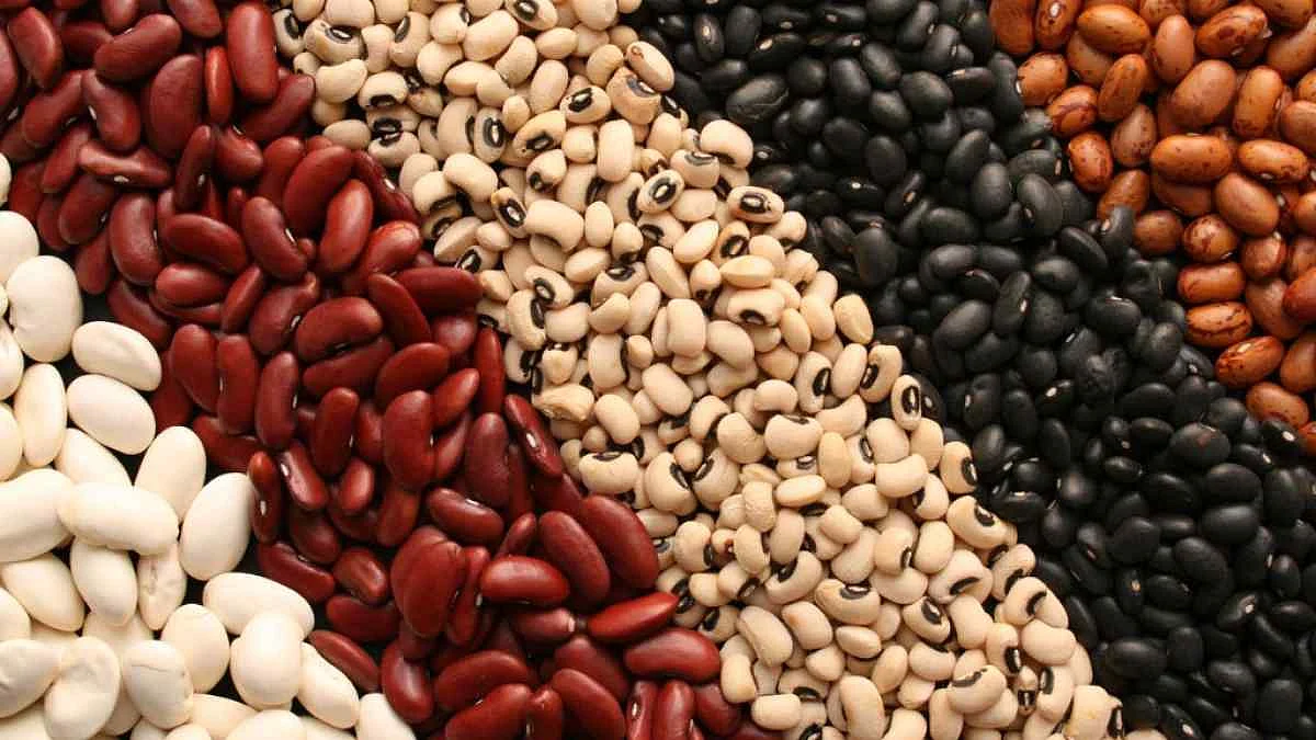 Lectins are great. Why would you go for a diet that is free of them?
