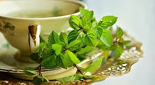Mint tea to beat inflammation