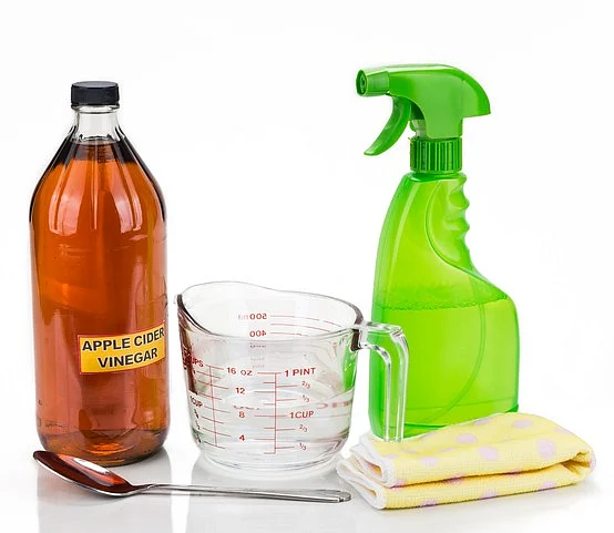 Make a bug spray using essential oils.