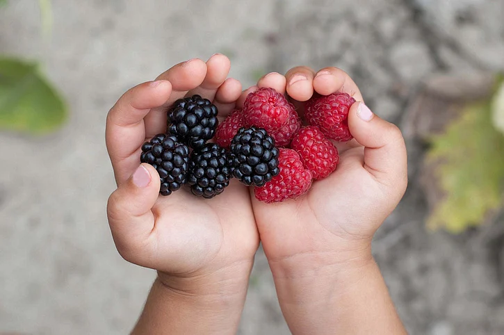 Teach kids to bless the food, feel grateful and eat slowly.