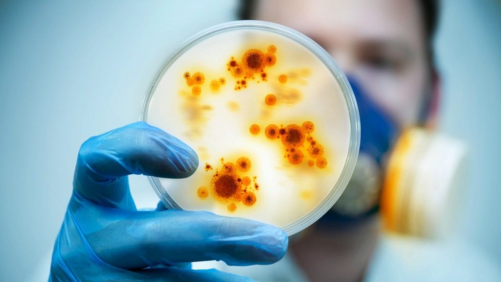 Microbes stranded in the International Space Station (ISS) are not mutating into dangerous, antibiotic-resistant superbugs despite its seemingly harsh conditions, scientists have found.
