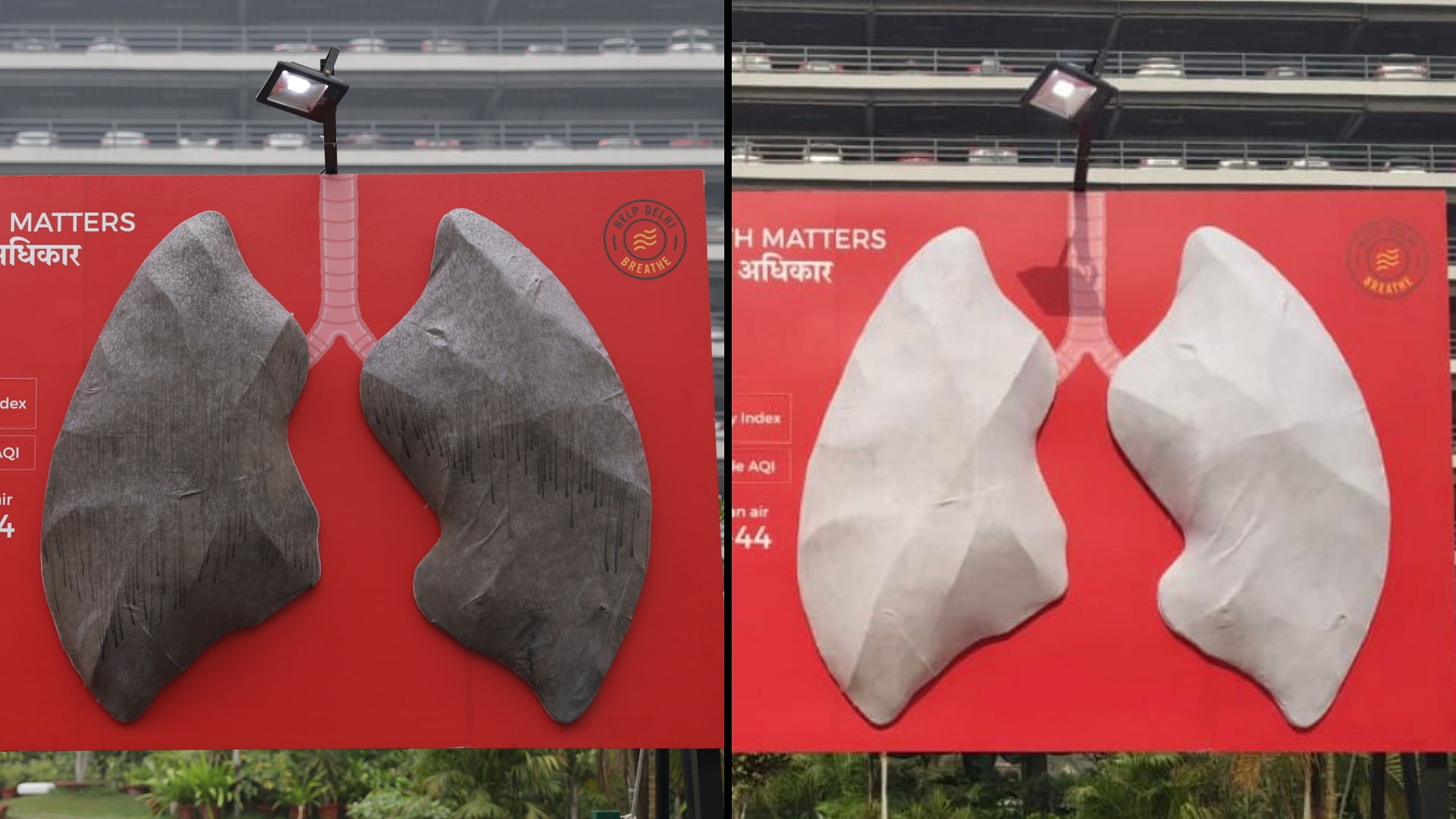 A pair of faux lungs have been installed out Sir Gangaram Hospital in New Delhi to gauge effects of air pollution.