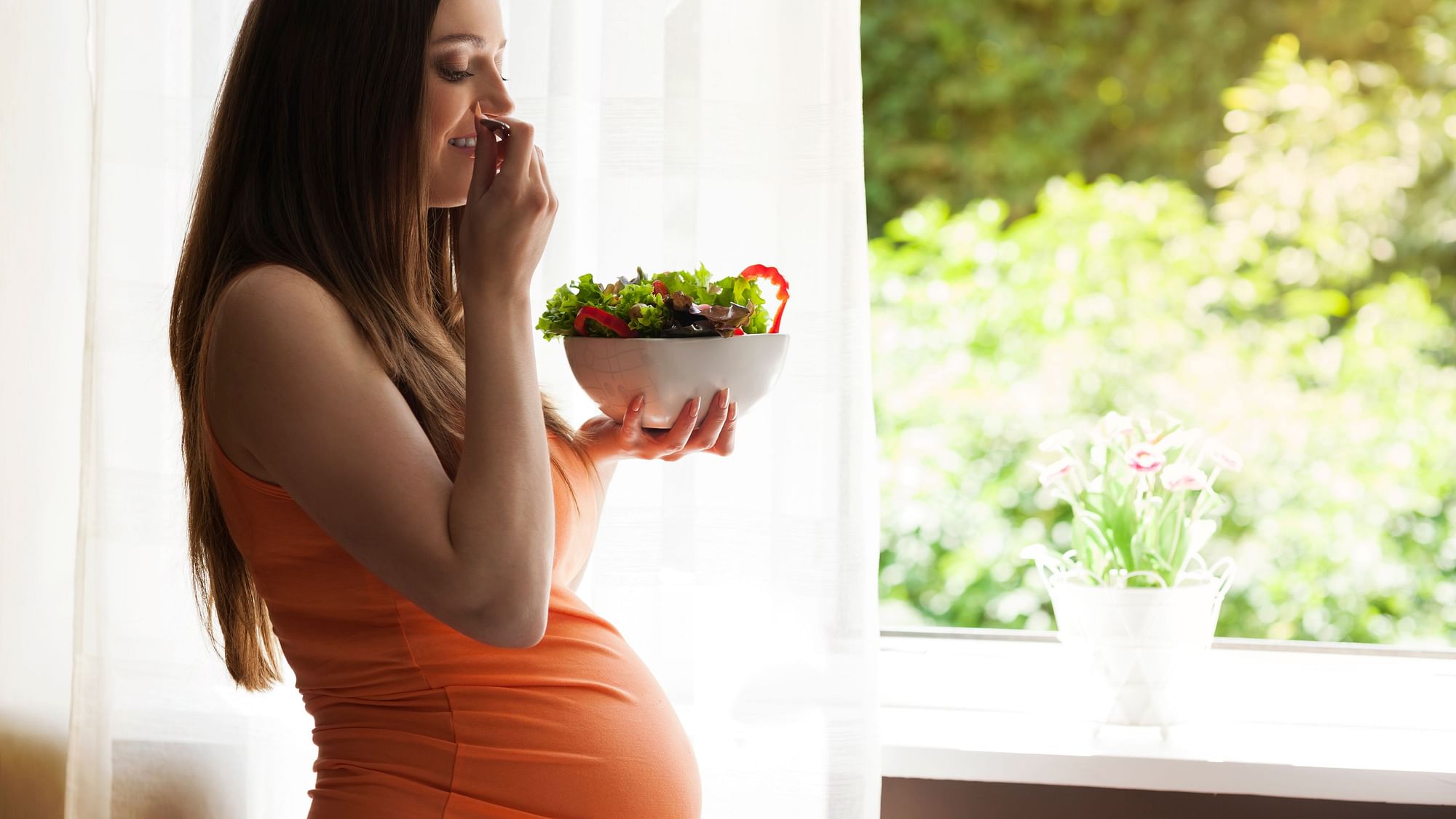 Food deprivation during early foetal life affects how long the future ovaries function.