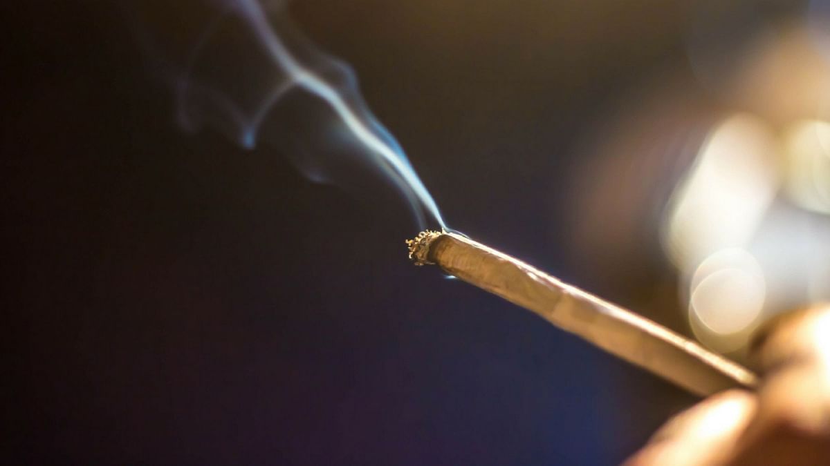 Cannabis Exposure Can Alter Sperm: Study