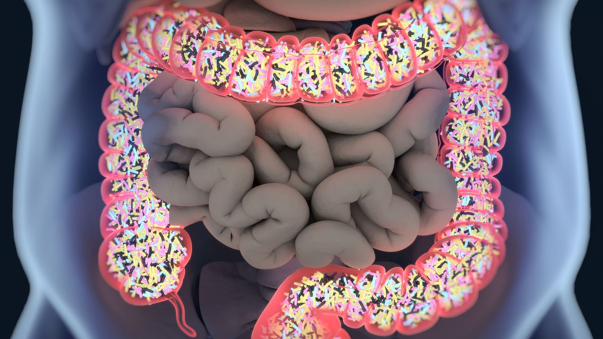 The study says that gut microbiome in the human gut, with its billions of bacteria, containing nearly two million genes, can serve as a biological clock.