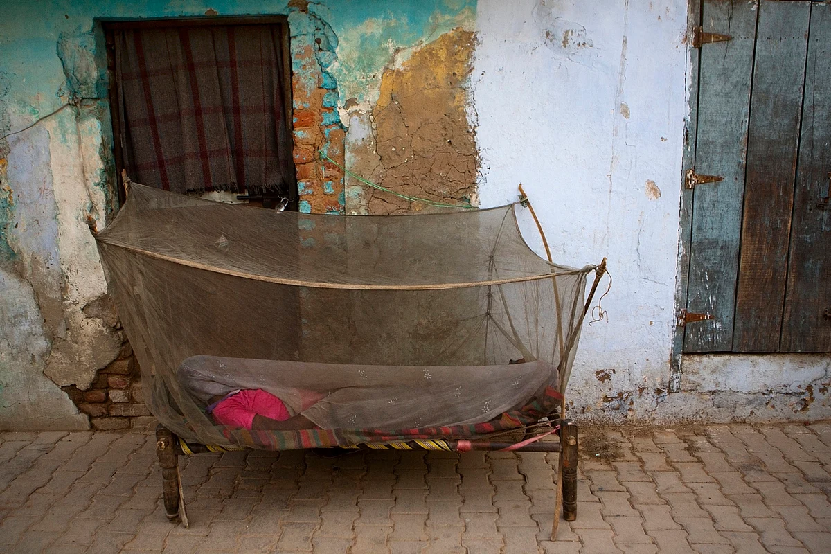 Since so much of the malaria burden is confined to developing or underdeveloped countries, those of us in developed countries seldom hear about it.
