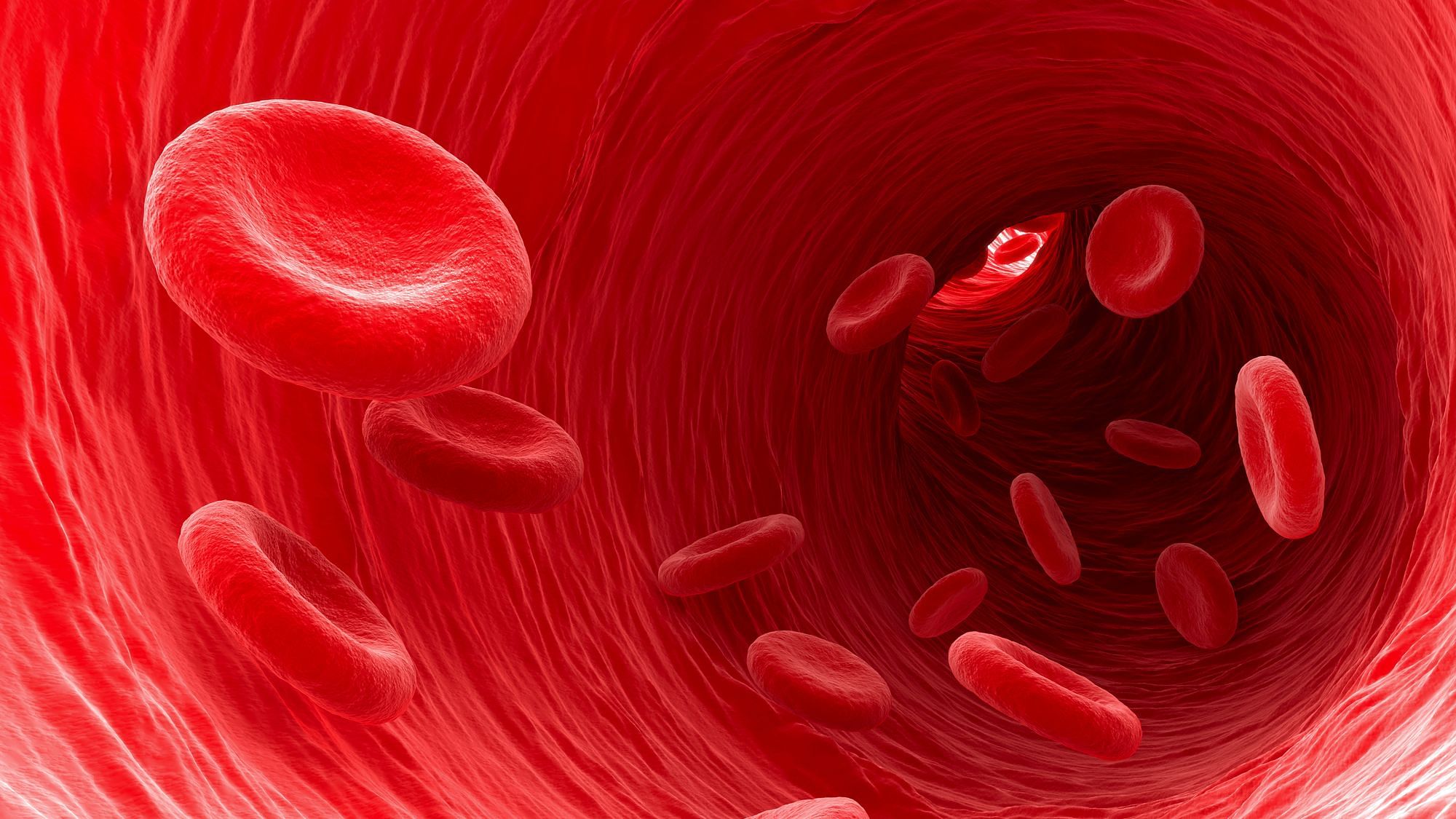 Human blood cells have an intrinsic clock that remains steady even after transplant, and could control human ageing as well as underlie blood cancers.