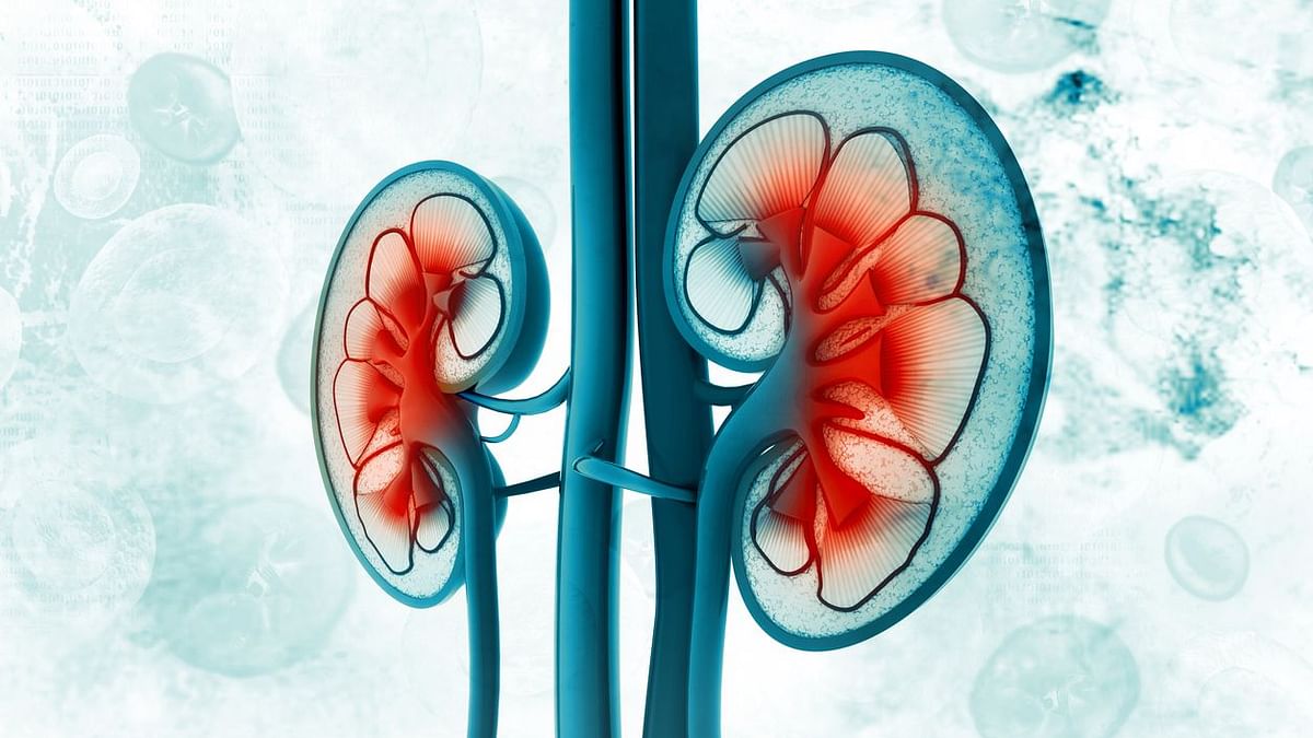 World Kidney Day: How Not to Take Your Kidneys for Granted